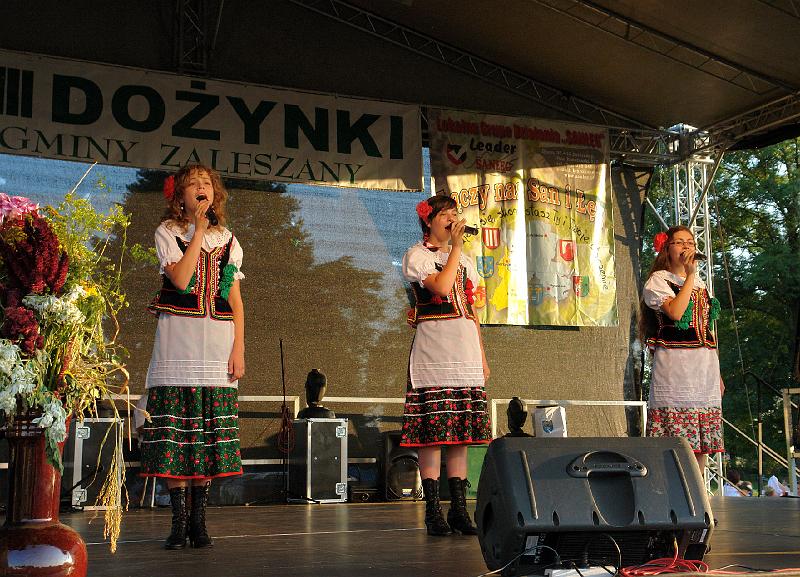 010.JPG